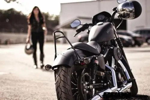 Спинка для мотоцикла пассажирская сиспи бар fit Sportster XL883 XL 1200 48 2004 05 06 07 08 09 2010