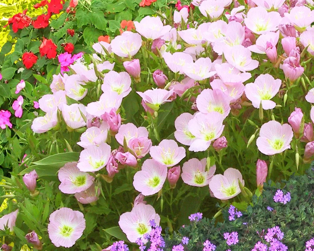 

Free Shipping Photo Wallpapers Flowers Butterfly Forest Fresh TV Sofa Living Room Background Mural Nails 3D Bedrooms Wallpaper