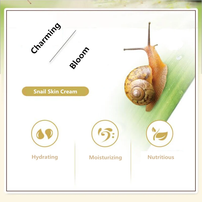 BRAND Fresh And Moisturizing Snail Skin Cream Makeup Face Care Whitening Compact Foundation Concealer Prevent Bask | Красота и