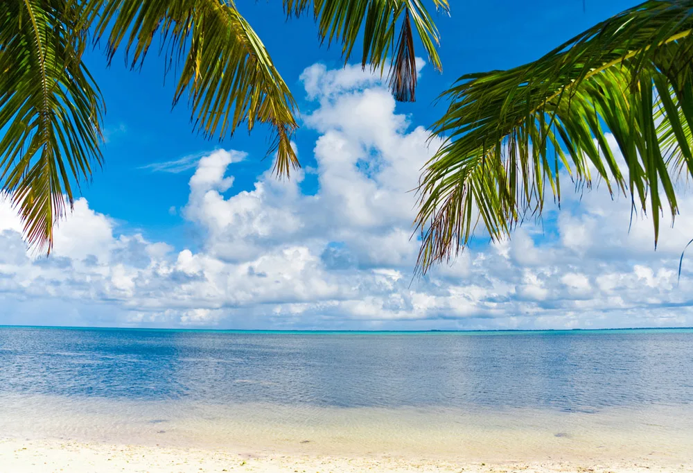 

Vinyl Beach Backdrops Blue Sky and Sea Photo Booth Backgrounds for Photography Tree Props