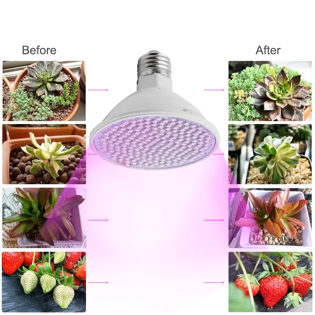

LED Grow light Wide Spectrum Fitolampy Hydroponics Phyto lamp Sunlight For Vegetable Flower Seedings Greenhouse Plant Lighting