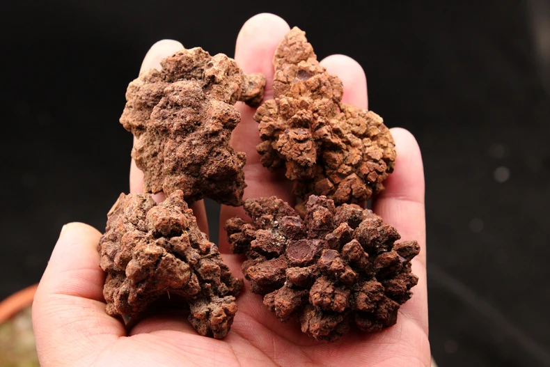 100 г натуральный динозавр dejecta fossil rough feces образец | Дом и сад