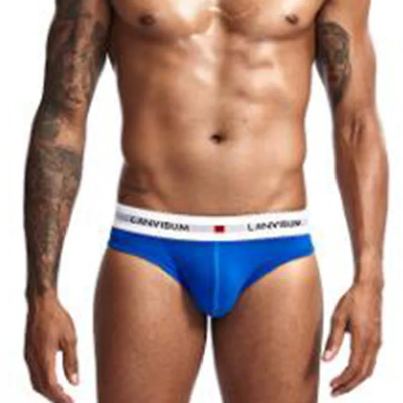 

2020 New Arrival Men Underwear Mesh Underpants Cueca Masculina U Pouch Male Soft Panties La619
