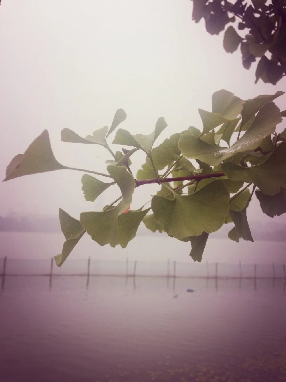 Бесплатная доставка | Женская одежда