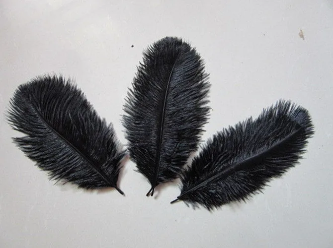 10 шт. белые страусиные перья 6 8 дюймов/15 20 см|feathers for decoration|white ostrich feathersdecorative feathers |