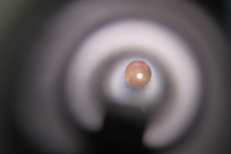 Германия Качество Профессиональный диагностический ENT Kit галогенный светильник