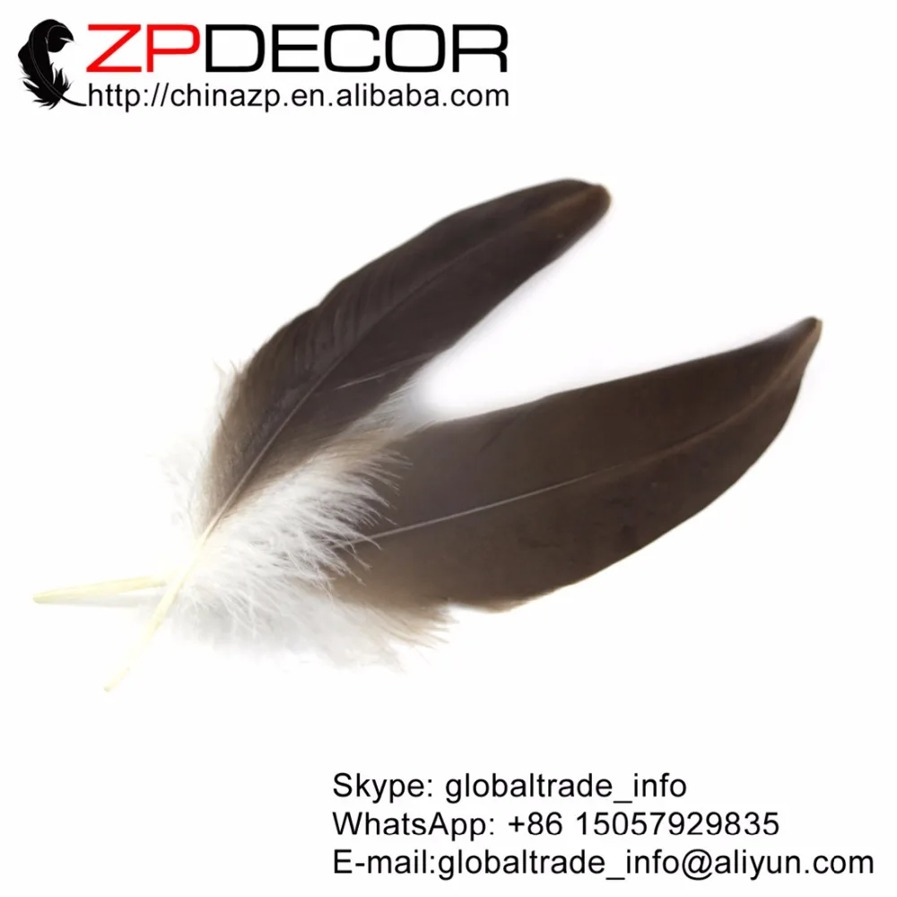

ZPDECOR Wholesale 25-30cm(10-12inch) 100pcs/lot Rare Bleached Colorful Eagle Feathers for Celebration Decoration