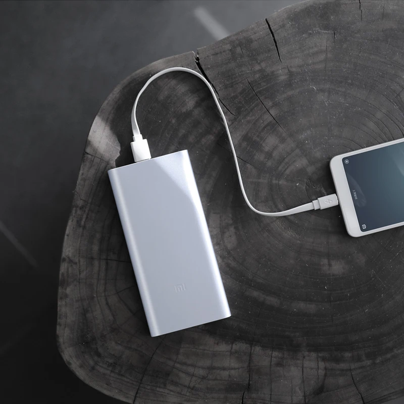 10000 мАч Внешний аккумулятор Xiaomi Mi 2i внешний 18 Вт быстрая зарядка PLM09ZM с двойным