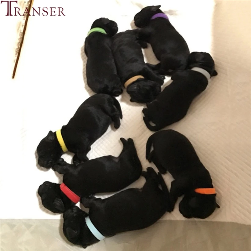 Переноска 12 цветов многоразовая Регулируемая волшебная палочка ошейник для