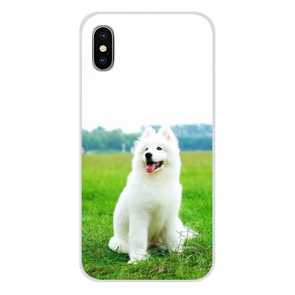 Для Apple iPhone X XR XS MAX 4 4S 5 5S 5C SE 6 6S 7 8 Plus ipod touch Аксессуары чехлы для телефонов Samoyed puppy dog