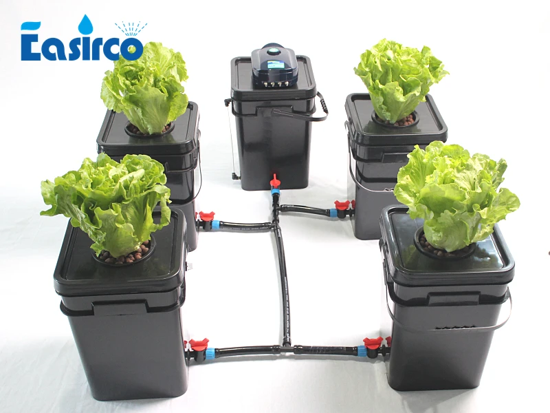 DWC 5x5 галлонов Cloner квадратное ведро для Hdroponics системы