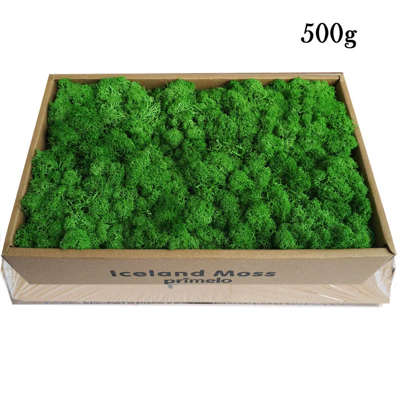 Искусственные растения 500 г/лот мох для вечной жизни/Декор сада и дома настенный