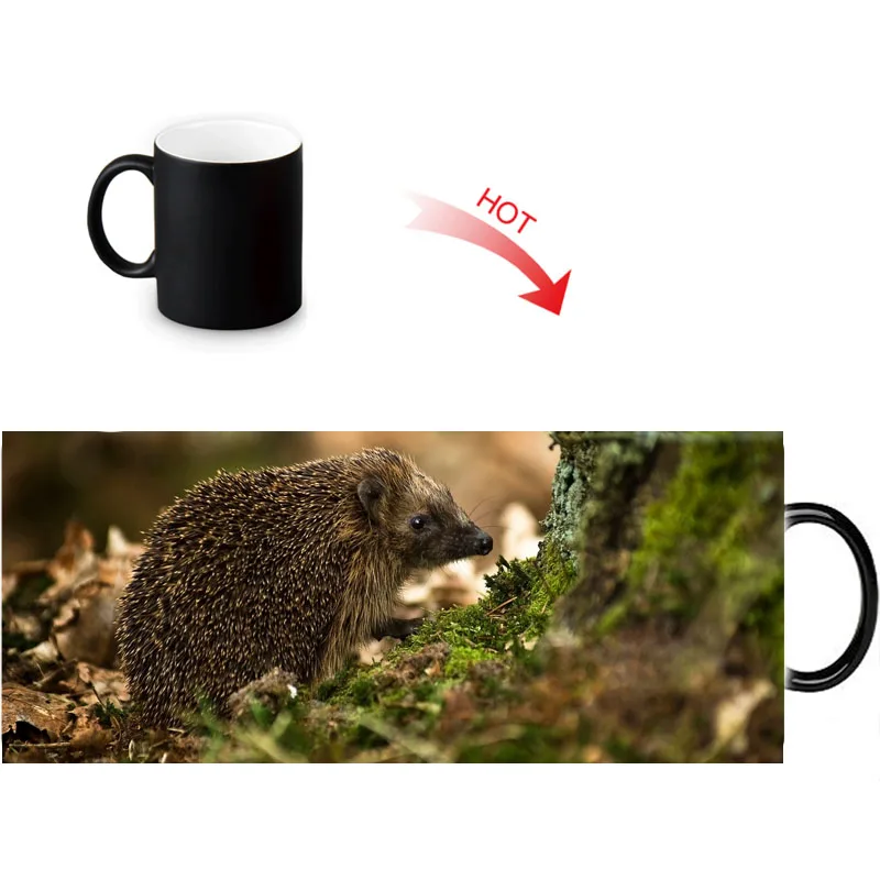 Волшебная кружка hedgehog меняющая цвет чая керамическая под заказ кофейные