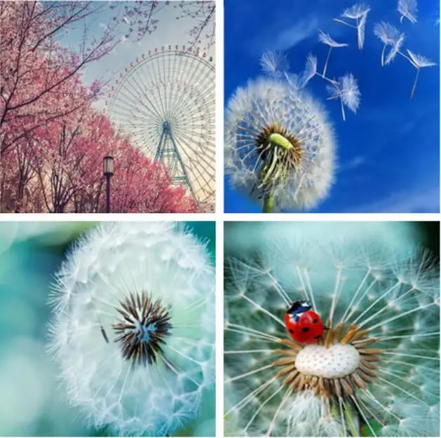 Горячая Распродажа 5D полная круглая роспись из бриллиантов милый цветок