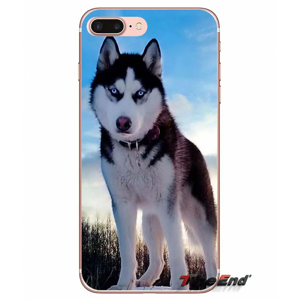 Для Apple iPhone X 4 4S 5 5S SE 5C 6 6S 7 8 Plus 6Plus 7plus 8plus Fundas Coque Siberian Husky Dog puppies Силиконовый ТПУ