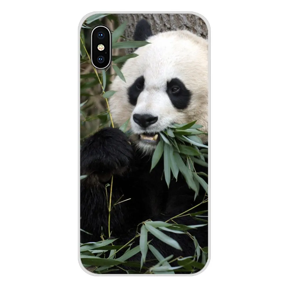 Чехлы для мобильных телефонов Samsung Galaxy S3 S4 S5 Mini S6 S7 Edge S8 S9 S10 Lite Plus Note 4 5 8 9 Animal Plant Panda
