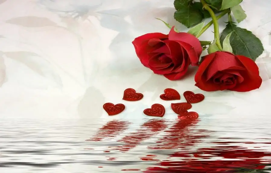 Элегантные roamtic темные розы Шторы Современные роскошные затемняющие шторы для