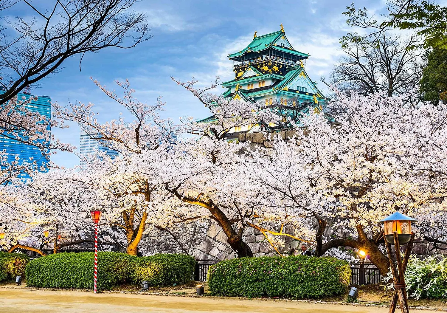 Osaka Japan Castle Spring Millennium Pink Cherry Blossoms background polyester or Vinyl cloth Computer print party backdrop | Электроника