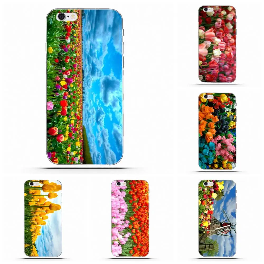 Wexoeq синие весенние красочные тюльпаны ТПУ шаблоны для Apple iPhone X 4 4S 5 5C 5S SE 6 6S 7 8 Plus |