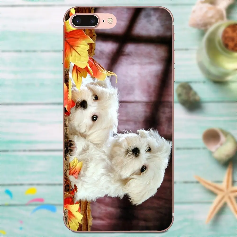 Bichon Frise Dog Soft Print Phone Cover Case For Huawei Mate 7 8 9 10 20 P8 P9 P10 P20 P30 Lite Plus Pro 2017 | Мобильные телефоны