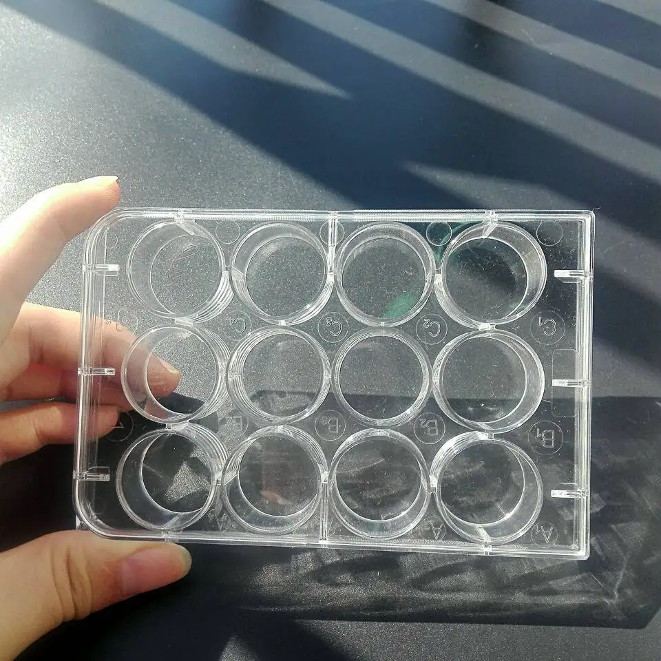 Одноразовая чаша Петри с 12 отверстиями 5 шт. | Канцтовары для офиса и дома