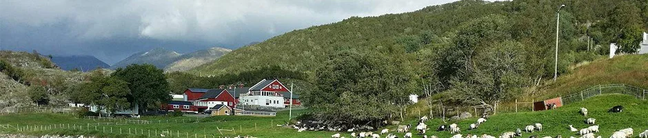 Зимнее мужское кожаное пальто с лисьим меховым воротником, пальто из натуральной кожи, пуховик, стиль пилот, кожа овчины, мужская кожаная куртка, новинка