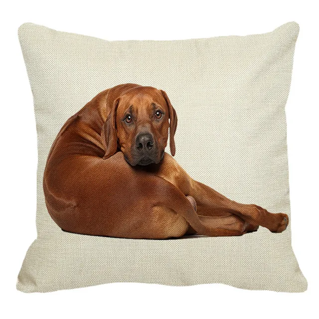 XUNYU Rhodesian Ridgeback наволочки с изображением собак для домашнего дивана квадратная наволочка для подушки с животным узором декоративная наволочка для подушки 45X45 см AC018 - Цвет: 12