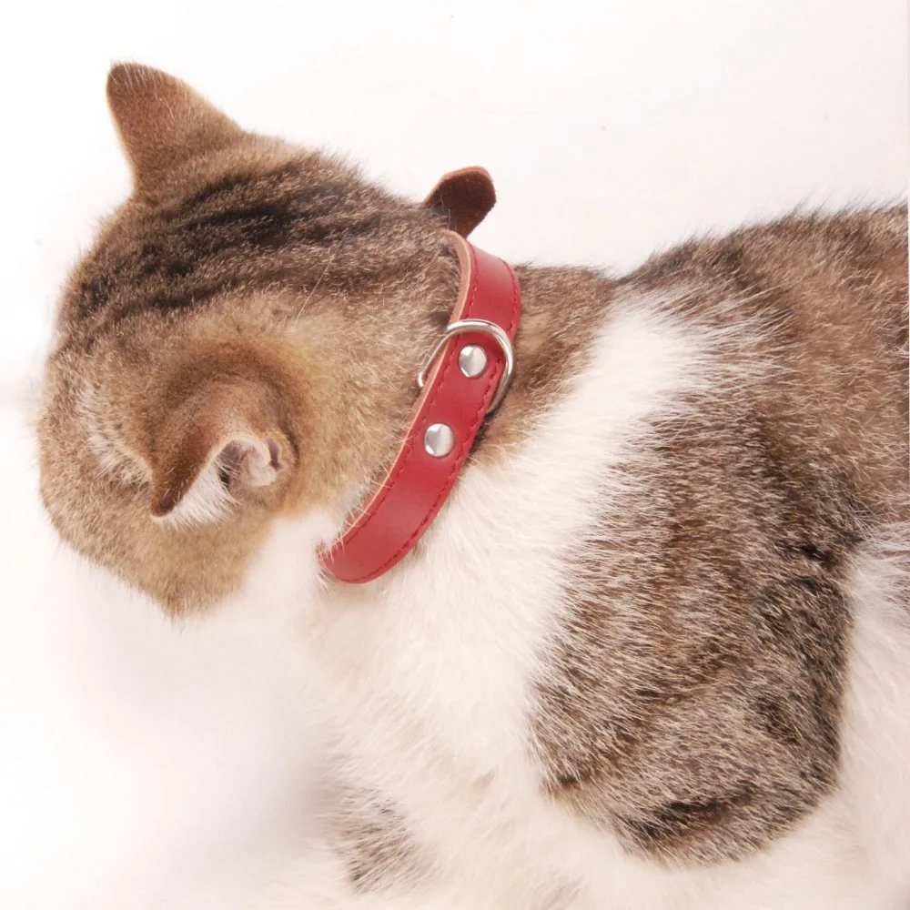 Кожаный ошейник для собак и кошек маленький средний большой Поводок щенков JW0030 |