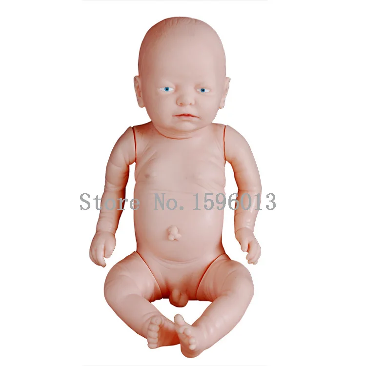 Лидер продаж модель для новорожденных Основная эмбриона | Канцтовары офиса и