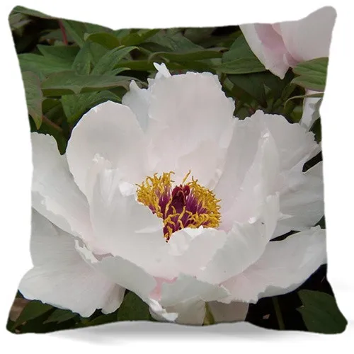 Новинка 2017 весенний квадратный чехол для подушки с рисунком пиона белого