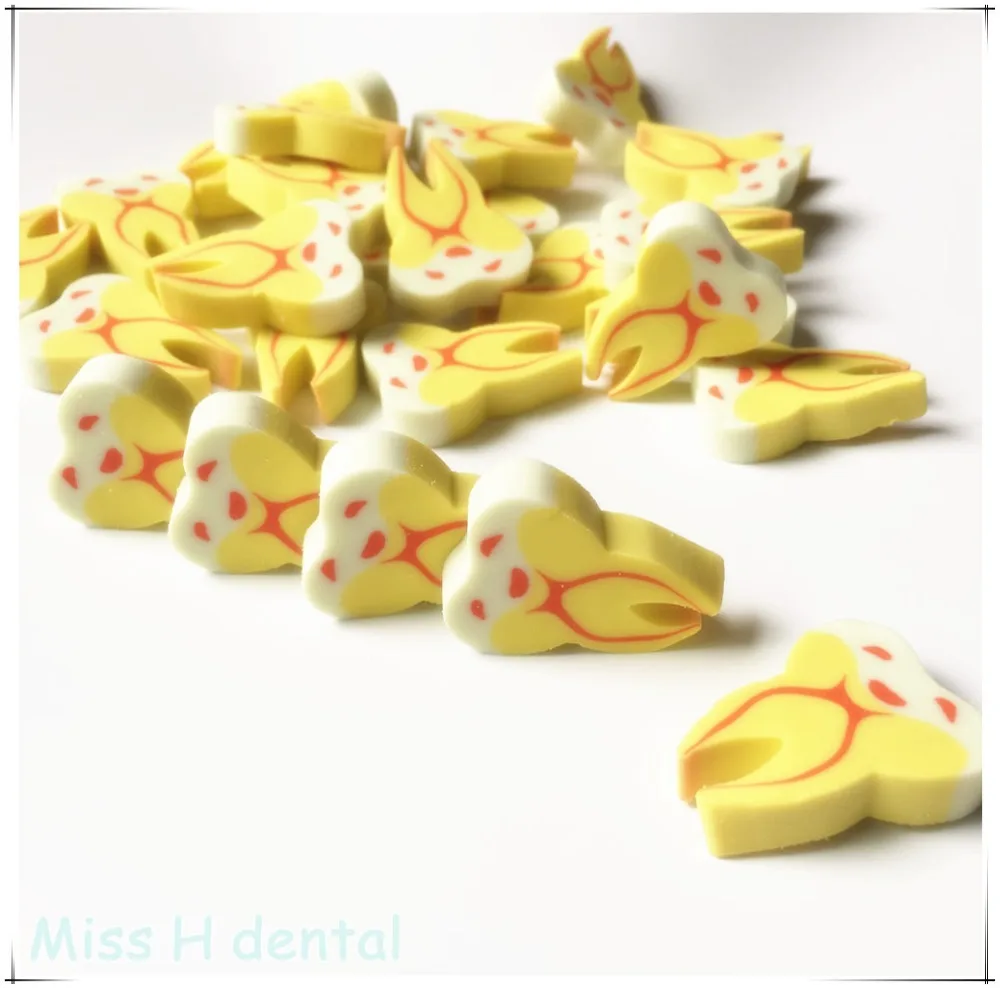 50 шт. креативный Подарочный ластик для зубов в стоматологической клинике