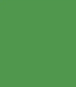 

Free Solid Color Green Muslin Photo Backdrop FV003 ,Solid cloth Backdrop,6 colors for your selects