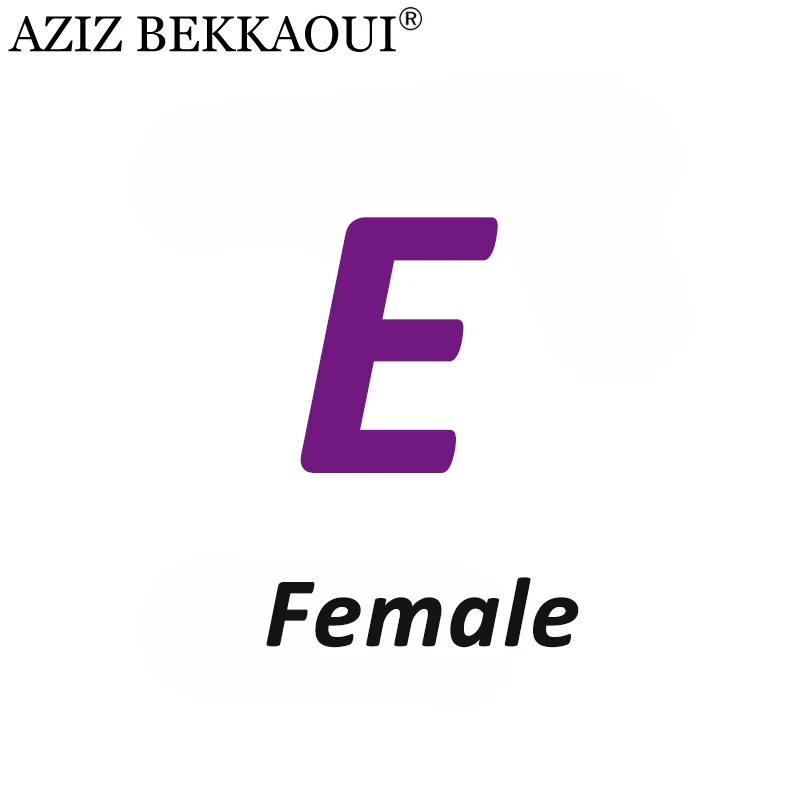 Female E AZIZ BEKKAOUI DIY сервис по индивидуальному заказу любой логотип, который вам нужен на заказ специальный подарок для друзей, любимых подарок на день Святого Валентина - Окраска металла: Female E