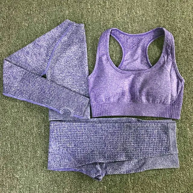 Purple 3Pcs Set Комплект из 3 предметов для йоги, Vital, бесшовные леггинсы, спортивный бюстгальтер, укороченный Топ с длинным рукавом, женская одежда для бега, тренажерного зала, с высокой талией, спортивный костюм для фитнеса - Цвет: Purple 3Pcs Set