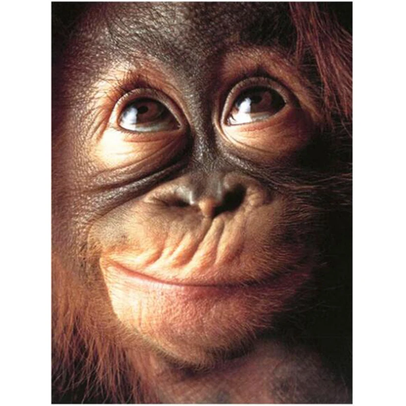 Алмазная вышивка картина обезьяна улыбка 5d Бриллиантовая мозаичная фигурка