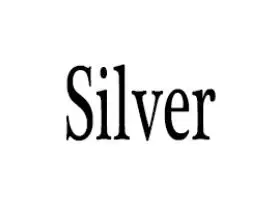 silver 5 мм 1ctw карат элегантное DEF цвет принцесса обручальное кольцо со светлым окаймлением свадебное Moissanite алмазное кольцо для женщин из серебра или белого золота - Цвет камня: silver