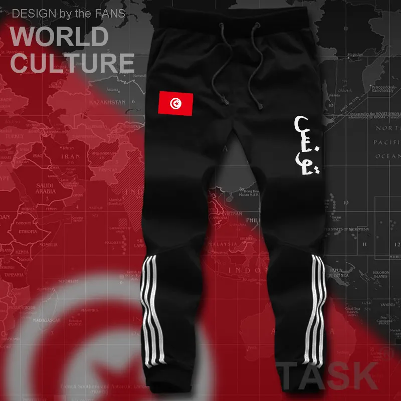 Мужские пляжные шорты TUN Arabic Tunisie спортивные с флагом и карманами на молнии для