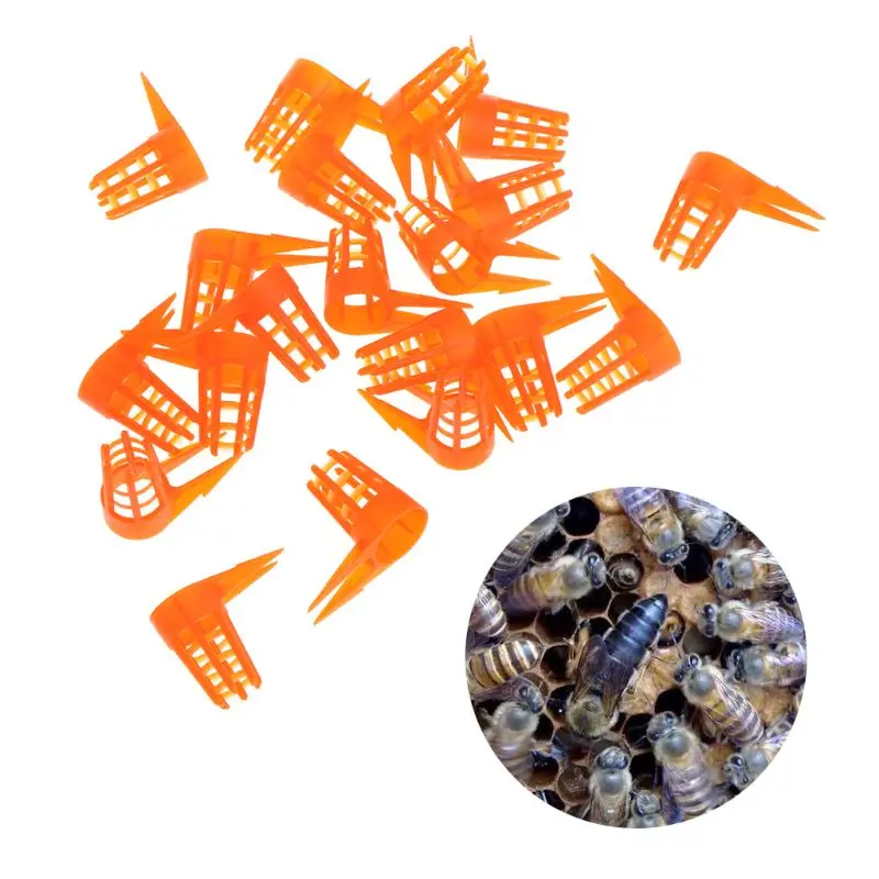 Пчела королева крышка сотового пчеловодства инструменты 20 шт оборудование для