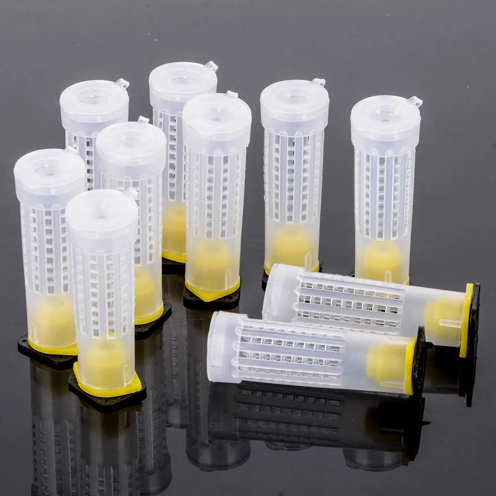 10 шт. Пчеловодство Rearing Cup Kit оборудование для пчеловодов инструменты