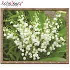 Sophie Beauty Полный Круглый Алмаз Вышивка крестом ручная работа Красота жизни белый цветок искусство Незавершенное мозаичное ремесло набор