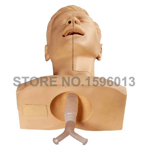 Vivid Suction Training Head Model Medical Teaching Simulation | Канцтовары для офиса и дома