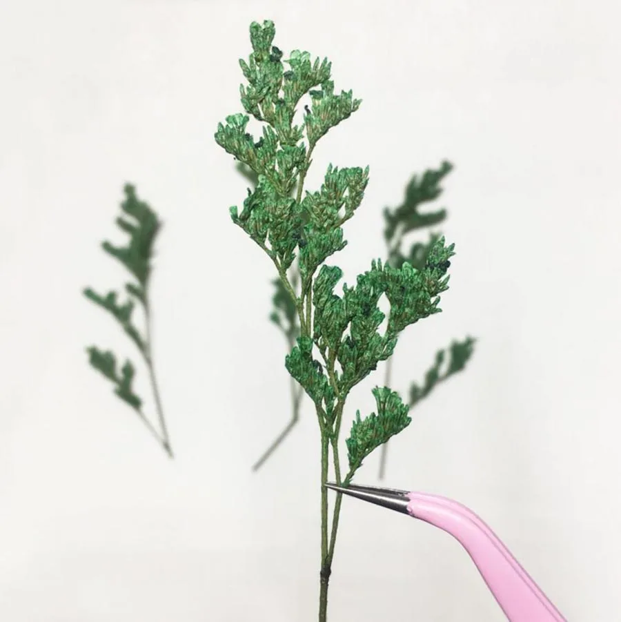 

120pcs Dried Pressed Green Codariocalyx Motorius Flower Plant Herbarium Jewelry Postcard Invitation Card Phone Case Bookmark DIY