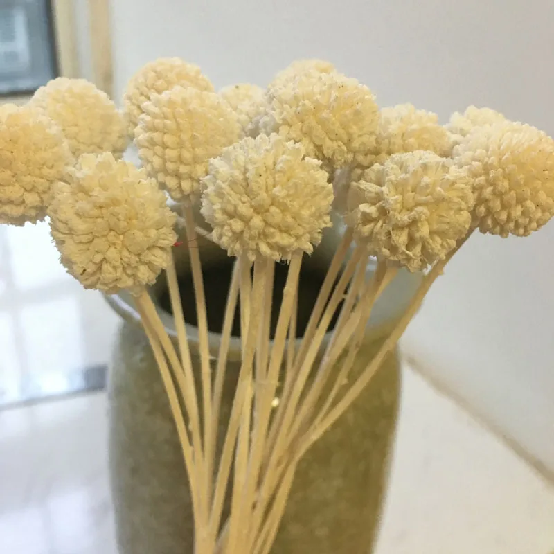 

5PCS,Natural Fresh Eternal Craspedia flowers Bouquet,Decorative display Flower for Wedding Party Home Decoration accessories