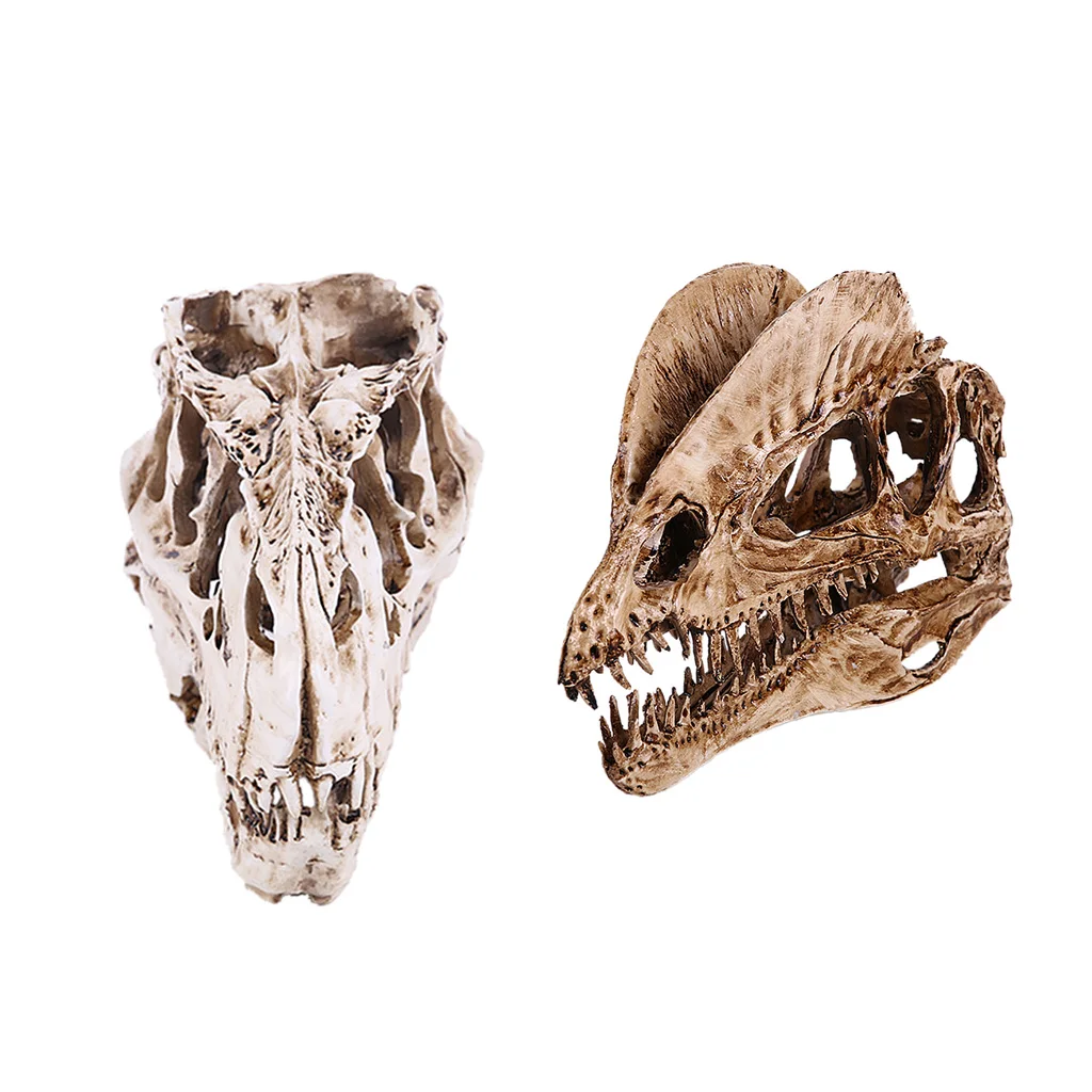 

2-Pack Смола череп динозавра модель T-rex и Dilophosaurus Скелет фигурка