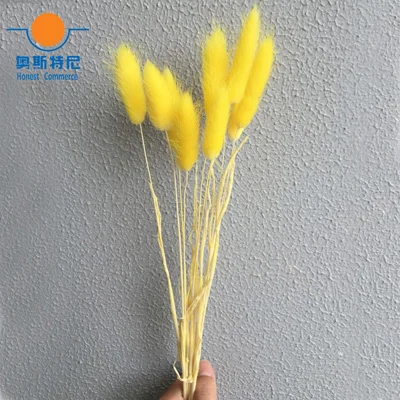 50pcs yellow color 50 шт. сушеные натуральные Цветочные букеты белого цвета lagunus ovatus букеты& Uraria picta& rabbit tail трава Цветочные букеты грозди - Цвет: 50pcs yellow color