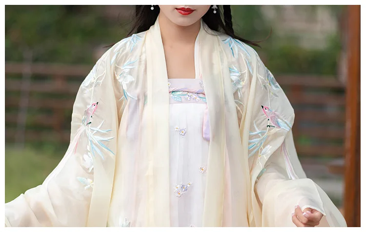 Hanfu Женский длинный рукав вышивка костюм Хана элемент династии Тан традиционный костюм Юбки феи платье принцессы для взрослых DN3508