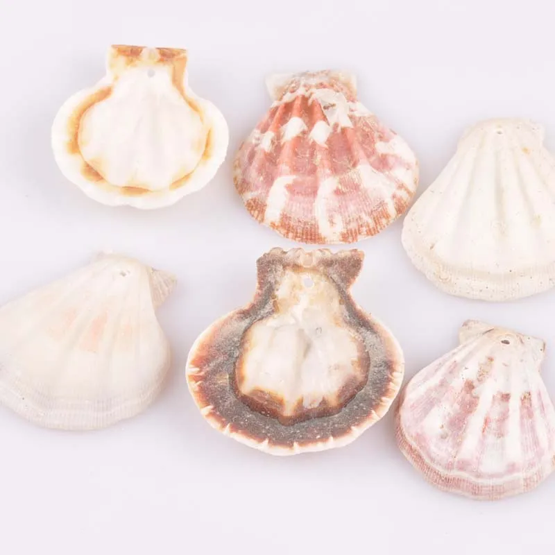 35-40mm 10pcs Natural Shell Loose Beads for Scrapbook Craft jewelry making DIY TRS0222X | Украшения и аксессуары
