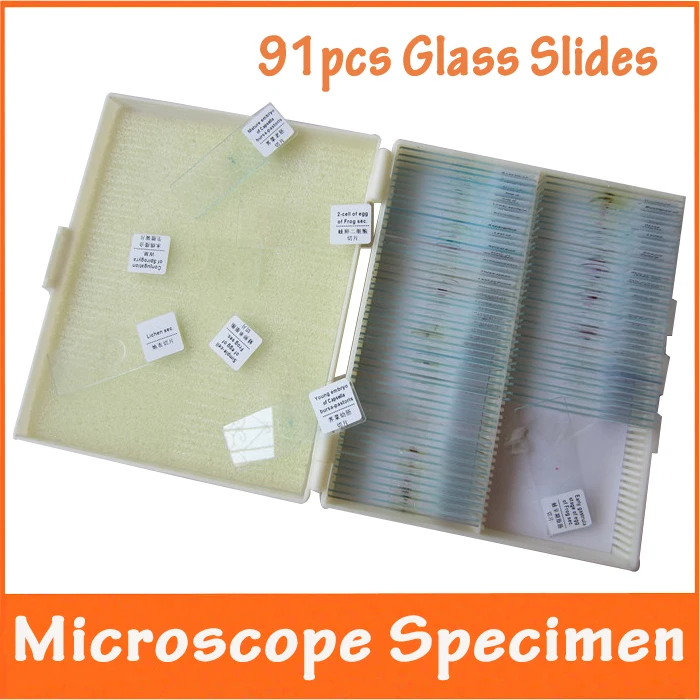

91pcs Professional Glass Prepared Microscope Slides Bio-Microscope Plant Animal Insect Specimen for Students to Learn Science