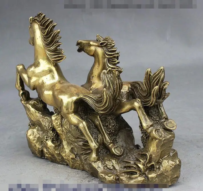 Народные Китайский Фэншуй Латунь Перспективе Успех Зодиака 2 Перейти Дикая