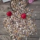 50 шт., 0,9-1,3 см, маленькие разнообразные раковины в виде морских звездочек, экологичное домашнее украшение, мини натуральные морские ракушки, аквариум, ландшафт